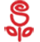 Simply rose květinářství jižní Čechy